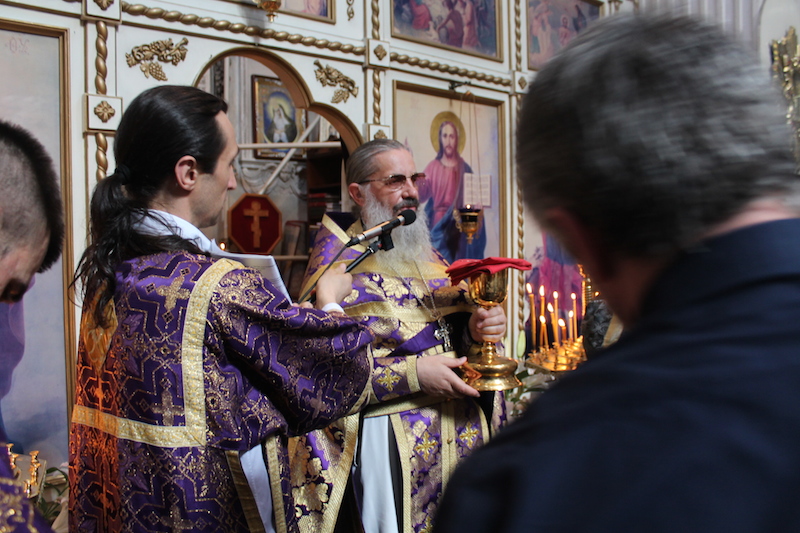 IMG_8235